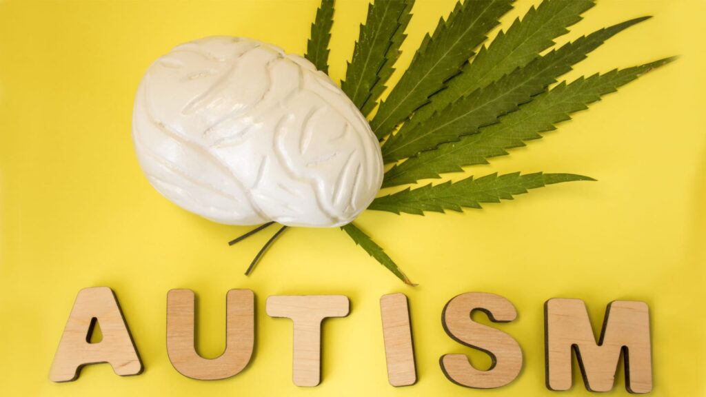 Use Of Cannabis To Treat Autism