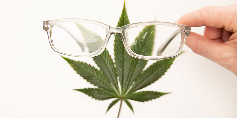 Cannabis To Treat Glaucoma