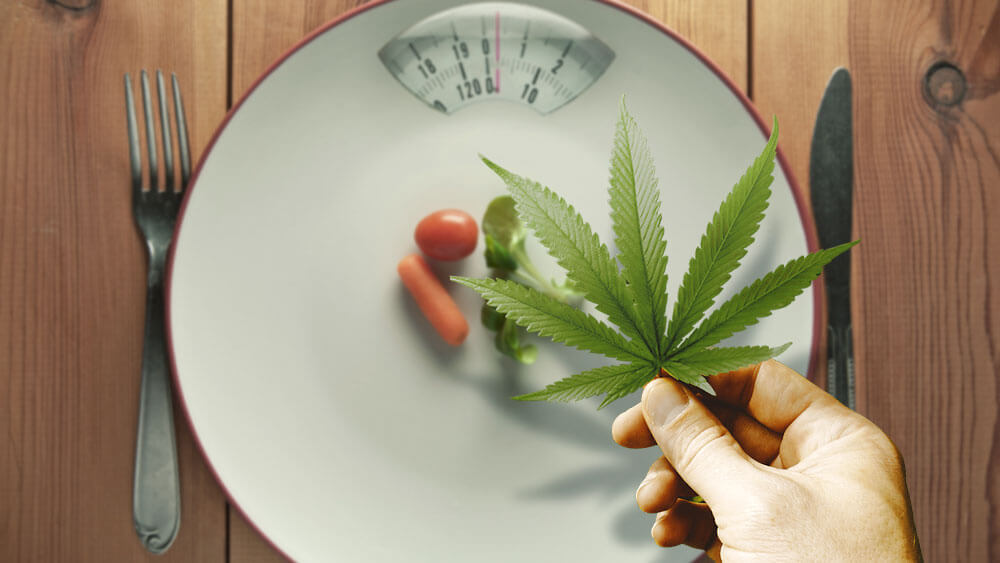 Medical Cannabis For Anorexia Treatment